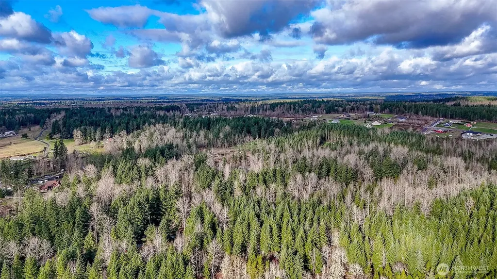 39838 Mountain Park Drive E Roy WA 98580