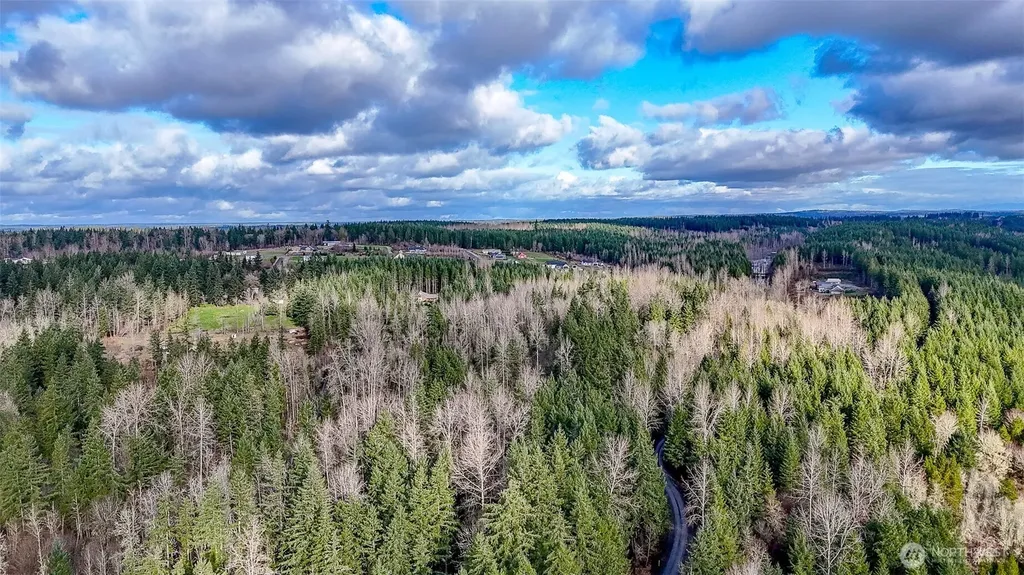 39838 Mountain Park Drive E Roy WA 98580