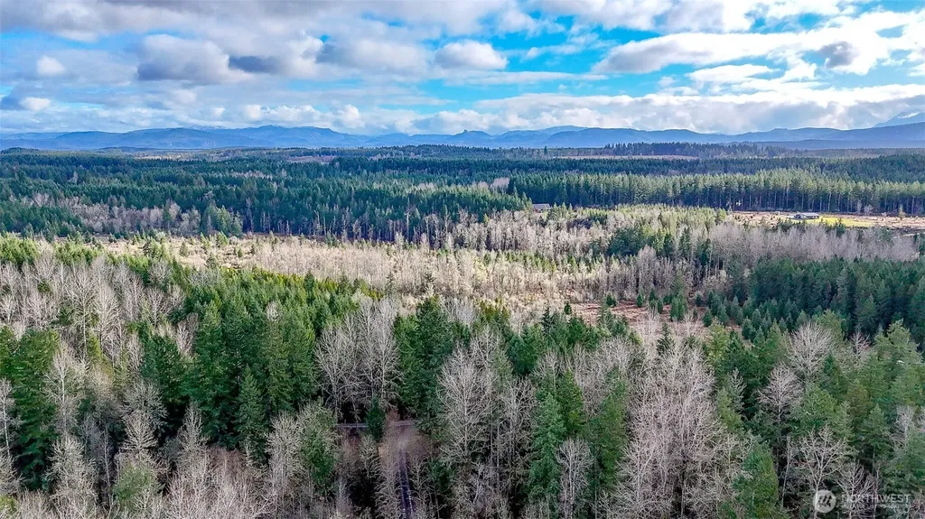 39838 Mountain Park Drive E Roy WA 98580