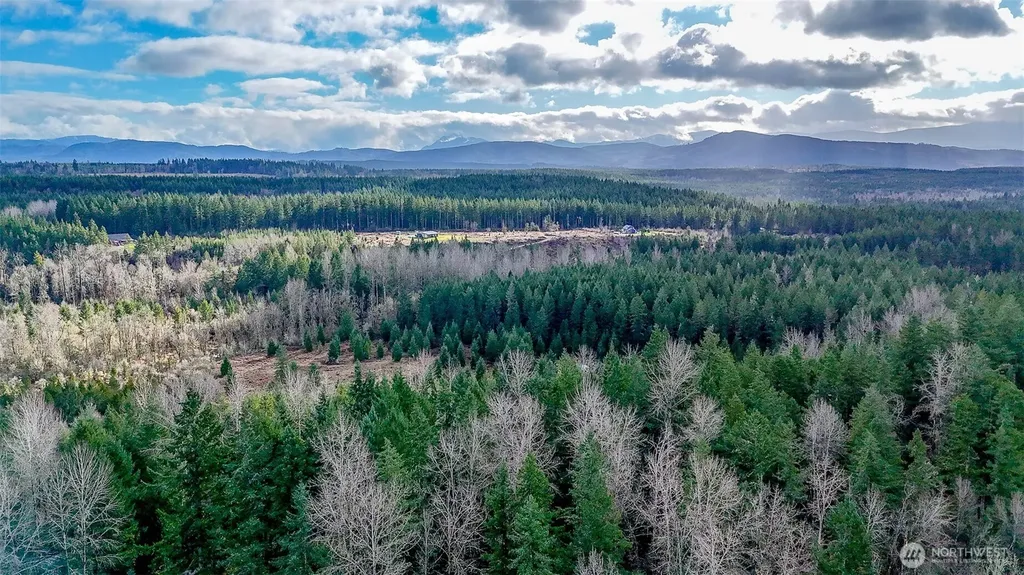 39838 Mountain Park Drive E Roy WA 98580