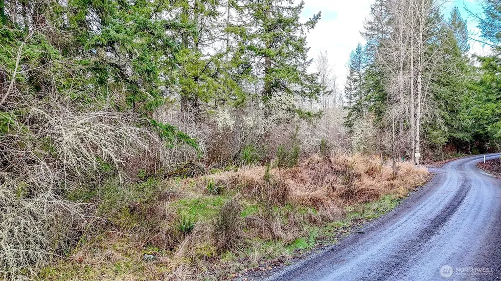 39838 Mountain Park Drive E Roy WA 98580