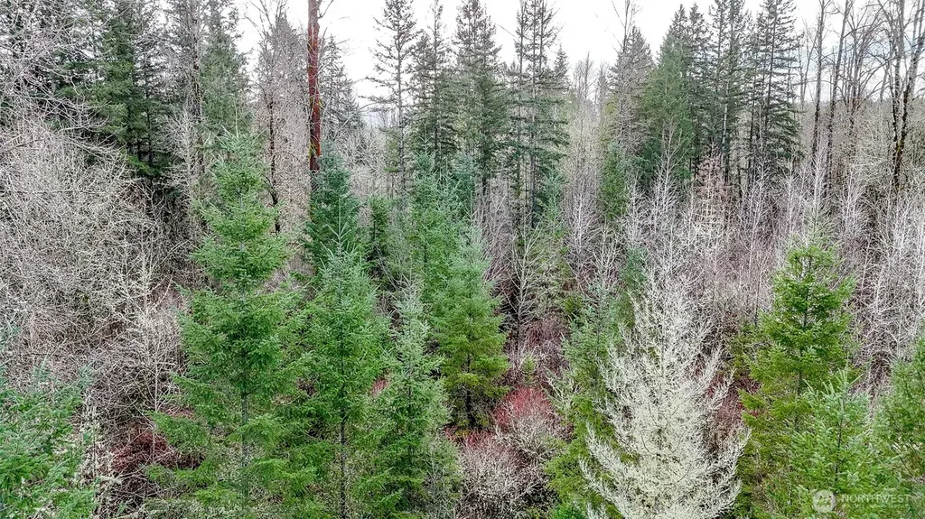 39838 Mountain Park Drive E Roy WA 98580