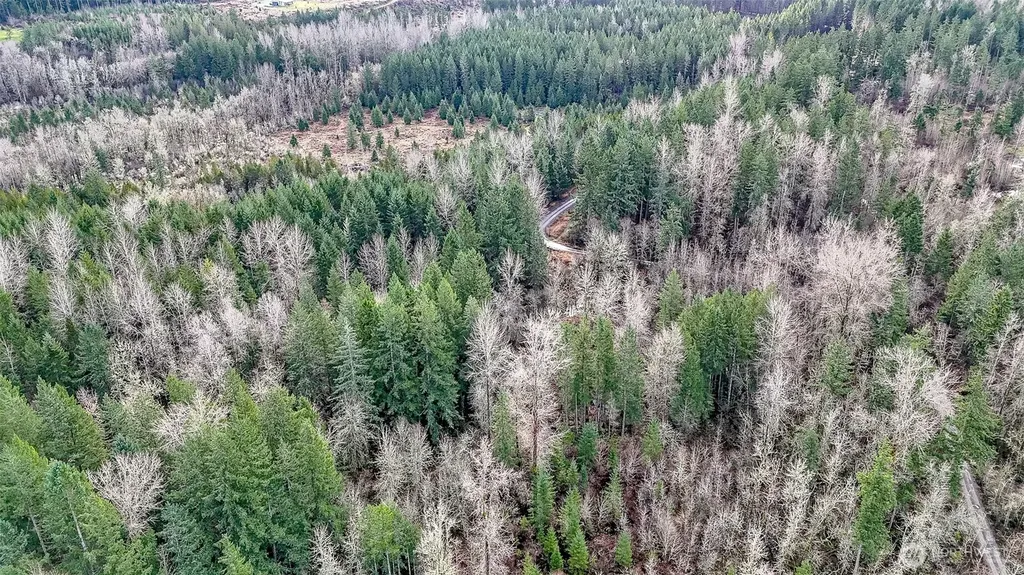 39838 Mountain Park Drive E Roy WA 98580