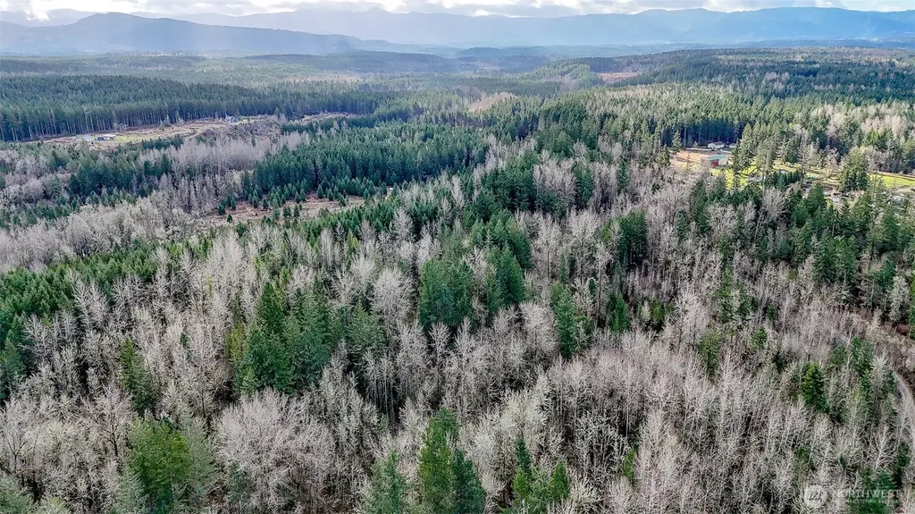 39838 Mountain Park Drive E Roy WA 98580