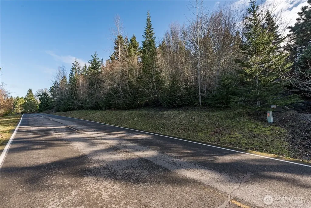 99999 Owls Nest Road Sequim WA 98382