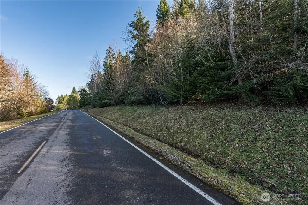 99999 Owls Nest Road Sequim WA 98382