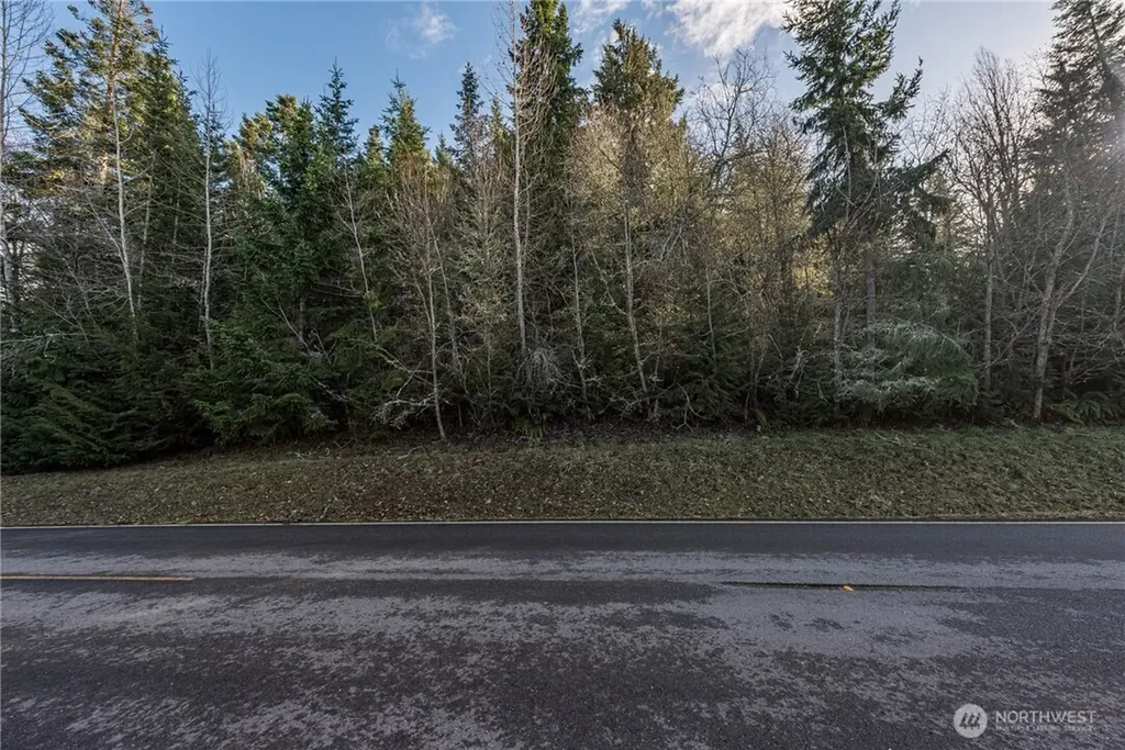 99999 Owls Nest Road Sequim WA 98382