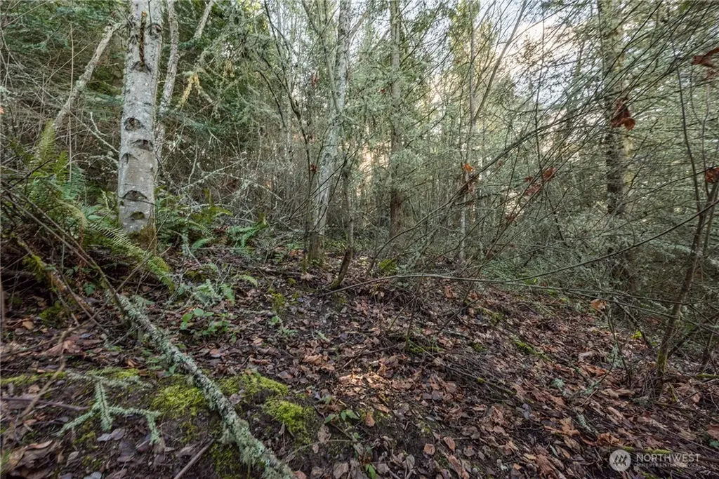 99999 Owls Nest Road Sequim WA 98382