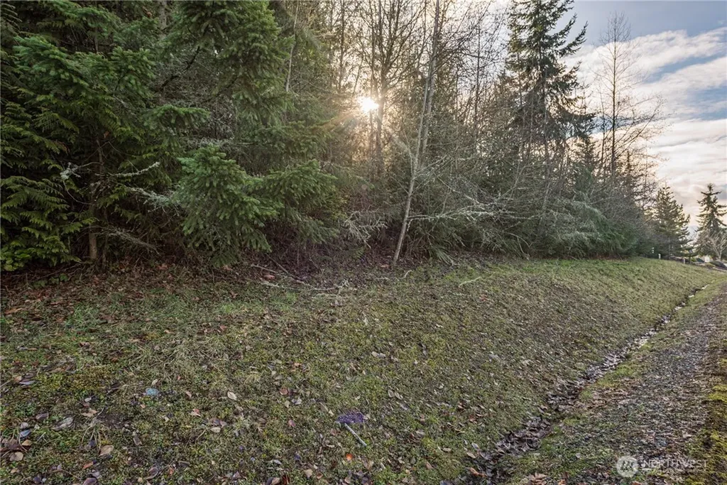 99999 Owls Nest Road Sequim WA 98382