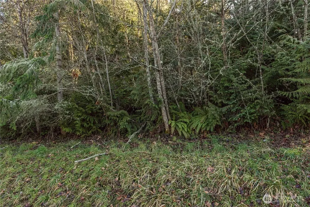 99999 Owls Nest Road Sequim WA 98382