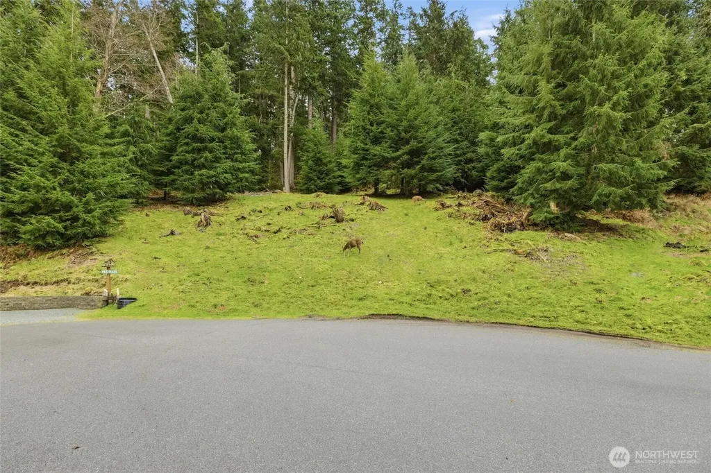 5184 Ridgeline Place Oak Harbor WA 98277