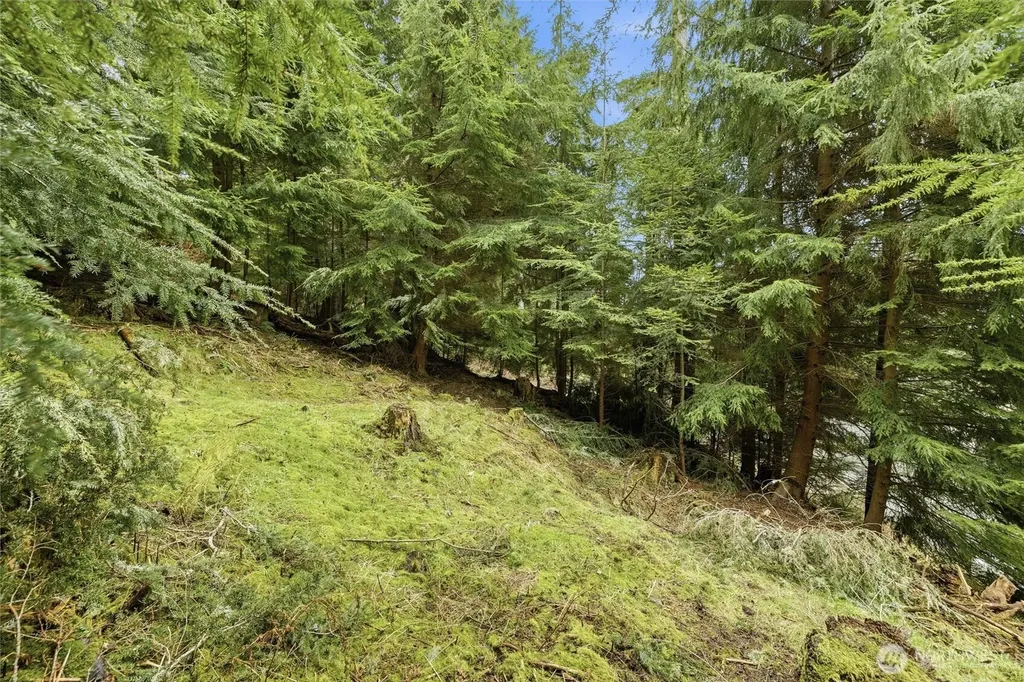 5184 Ridgeline Place Oak Harbor WA 98277