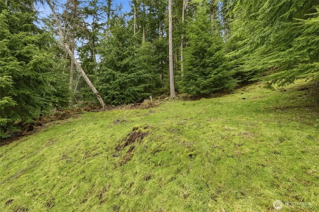 5184 Ridgeline Place Oak Harbor WA 98277