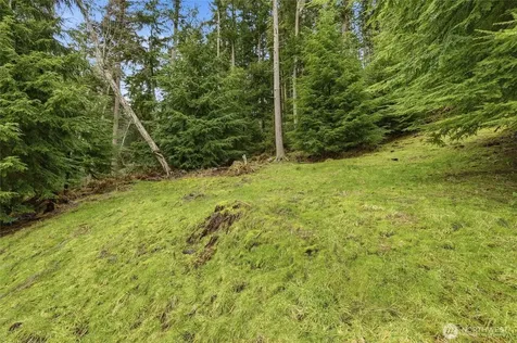 5184 Ridgeline Place Oak Harbor WA 98277