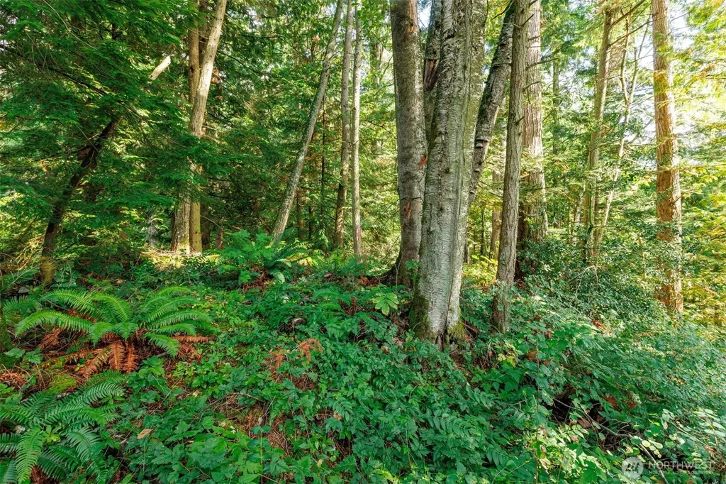 5326 Reese Hill Road Sumas WA 98295