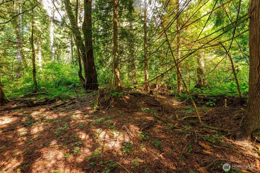 5326 Reese Hill Road Sumas WA 98295
