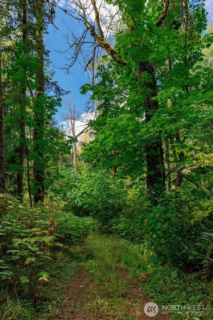 5326 Reese Hill Road Sumas WA 98295