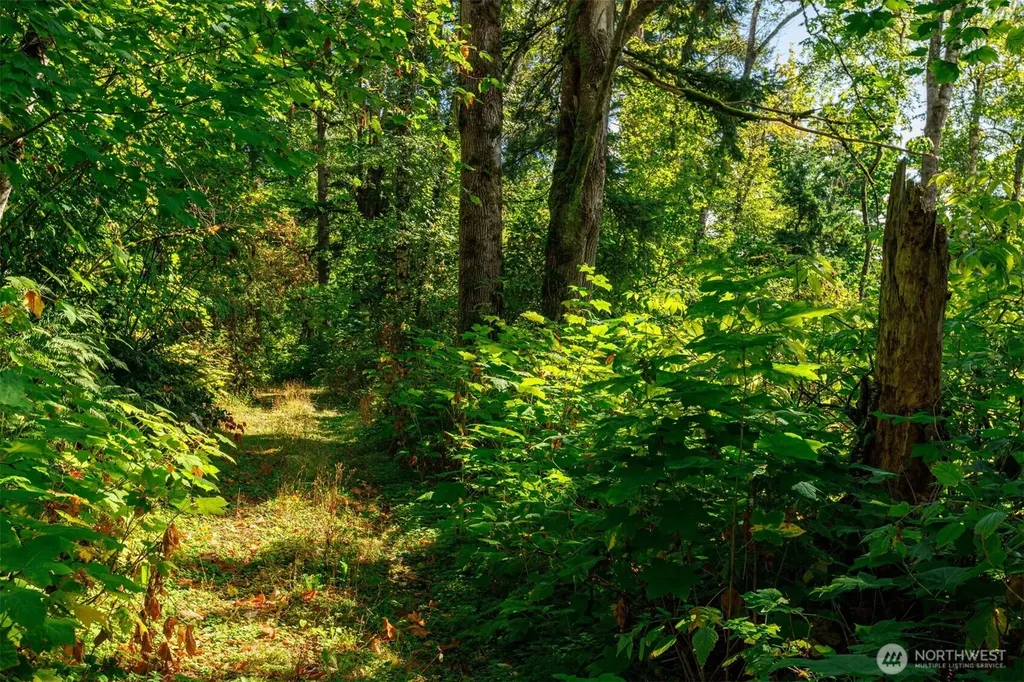 5326 Reese Hill Road Sumas WA 98295