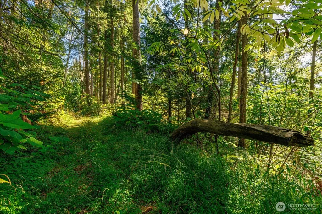 5326 Reese Hill Road Sumas WA 98295