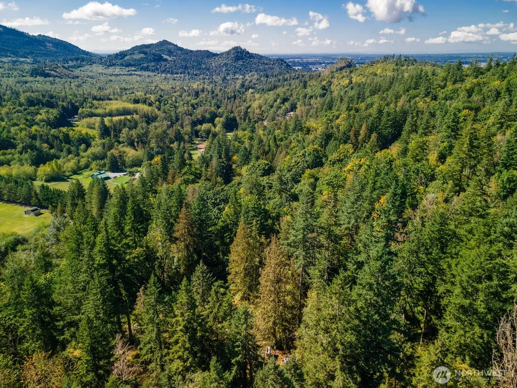 5326 Reese Hill Road Sumas WA 98295