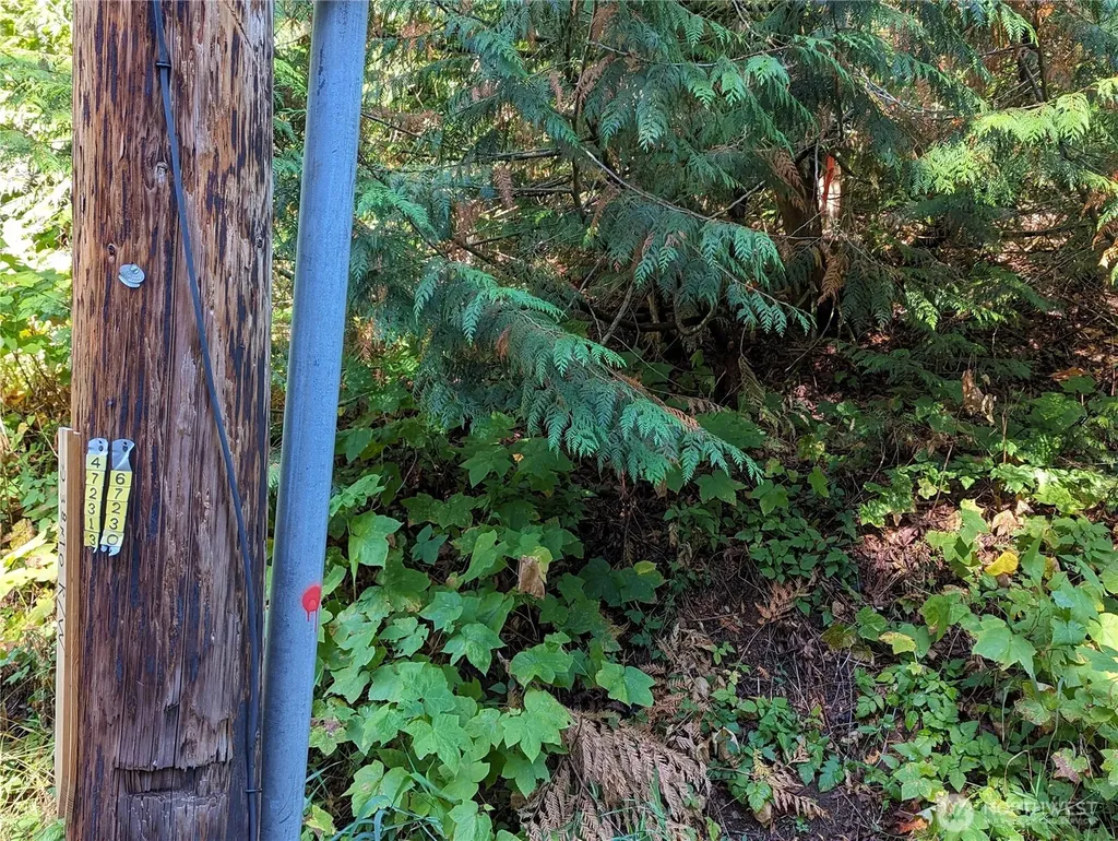 5326 Reese Hill Road Sumas WA 98295