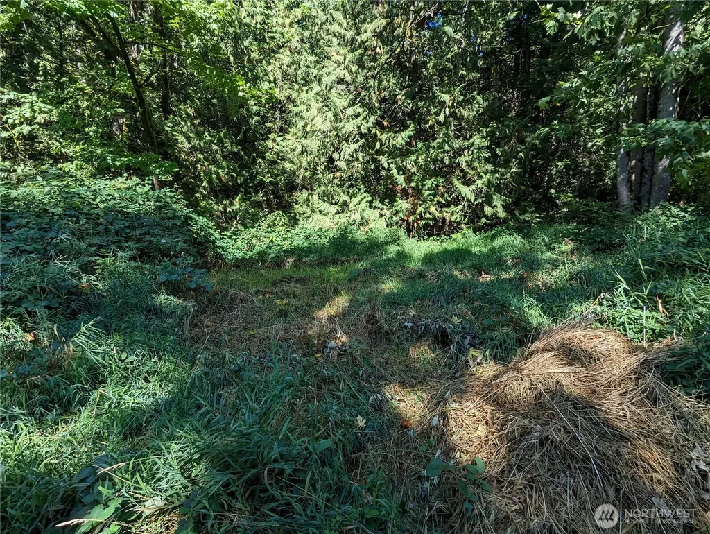 5326 Reese Hill Road Sumas WA 98295