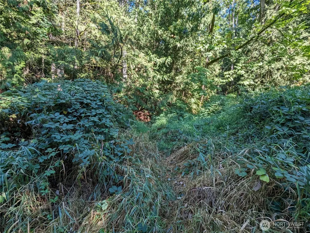 5326 Reese Hill Road Sumas WA 98295