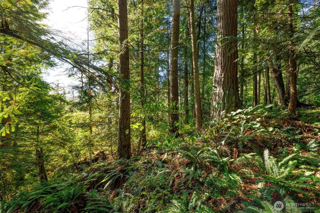 5326 Reese Hill Road Sumas WA 98295