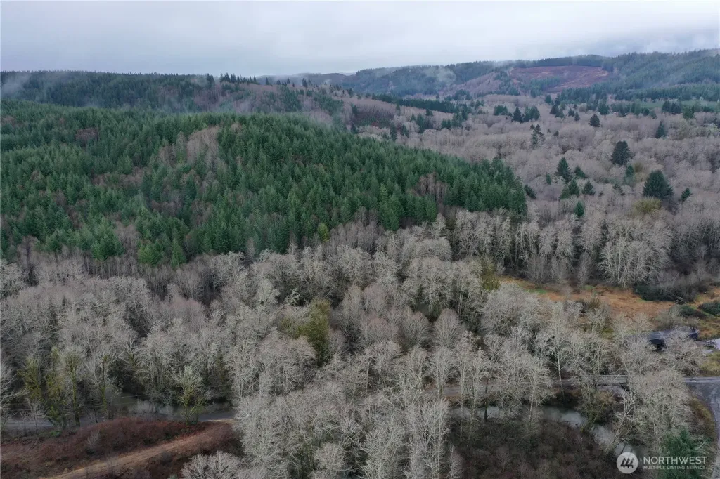 828 Wilkie Lane Montesano WA 98563