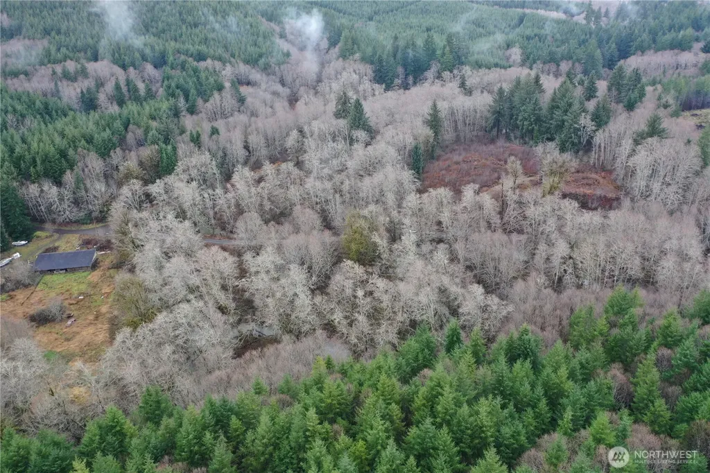 828 Wilkie Lane Montesano WA 98563