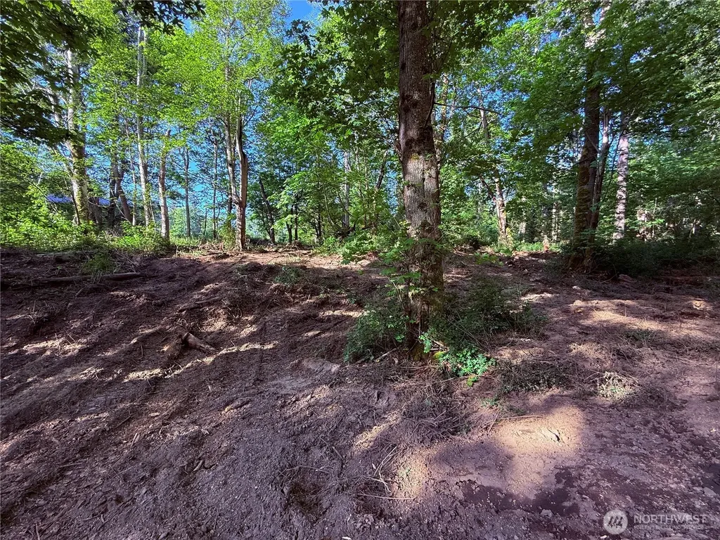 75 Beach Way Hat Island WA 98206