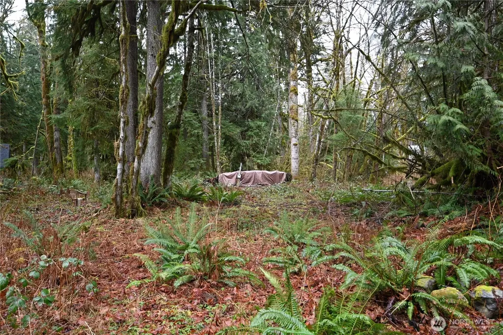 63645 NE 190th Street Baring WA 98224