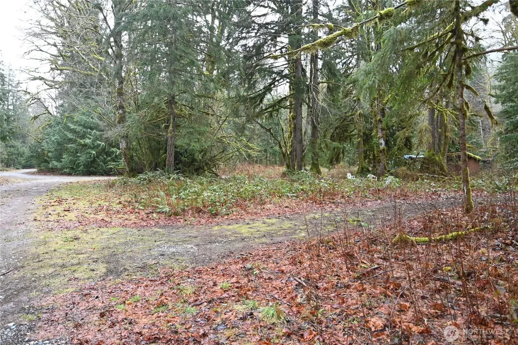 63645 NE 190th Street Baring WA 98224