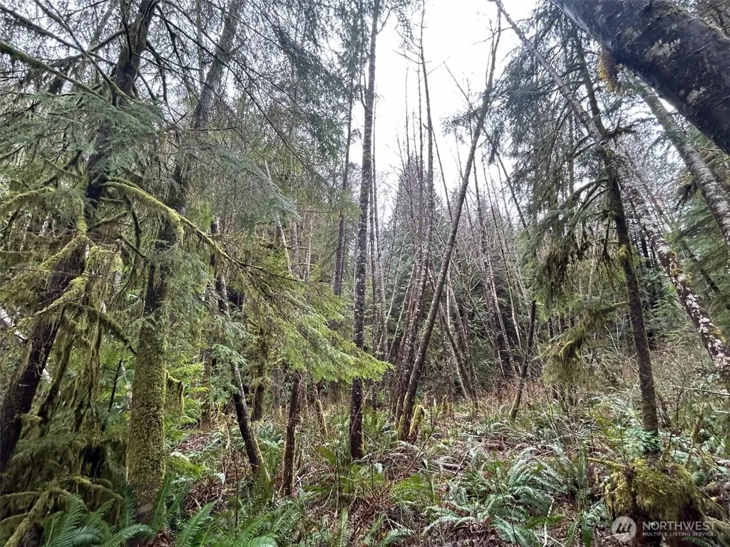 155 Ocean Beach Road Hoquiam WA 98550