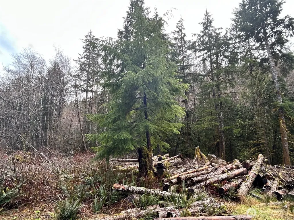 155 Ocean Beach Road Hoquiam WA 98550
