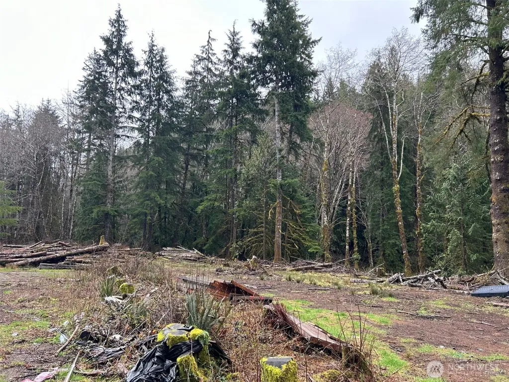 155 Ocean Beach Road Hoquiam WA 98550