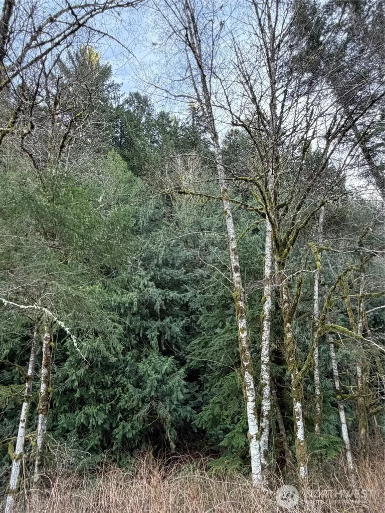 0 Us Highway 12 White Pass WA 98377