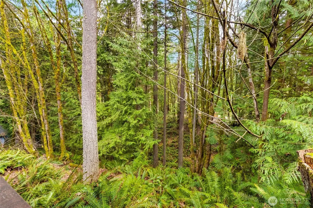 33 Green Hill Road Bellingham WA 98229