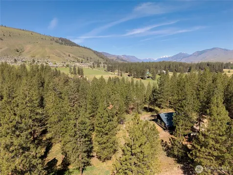 21 Twin Lakes Drive Winthrop WA 98862