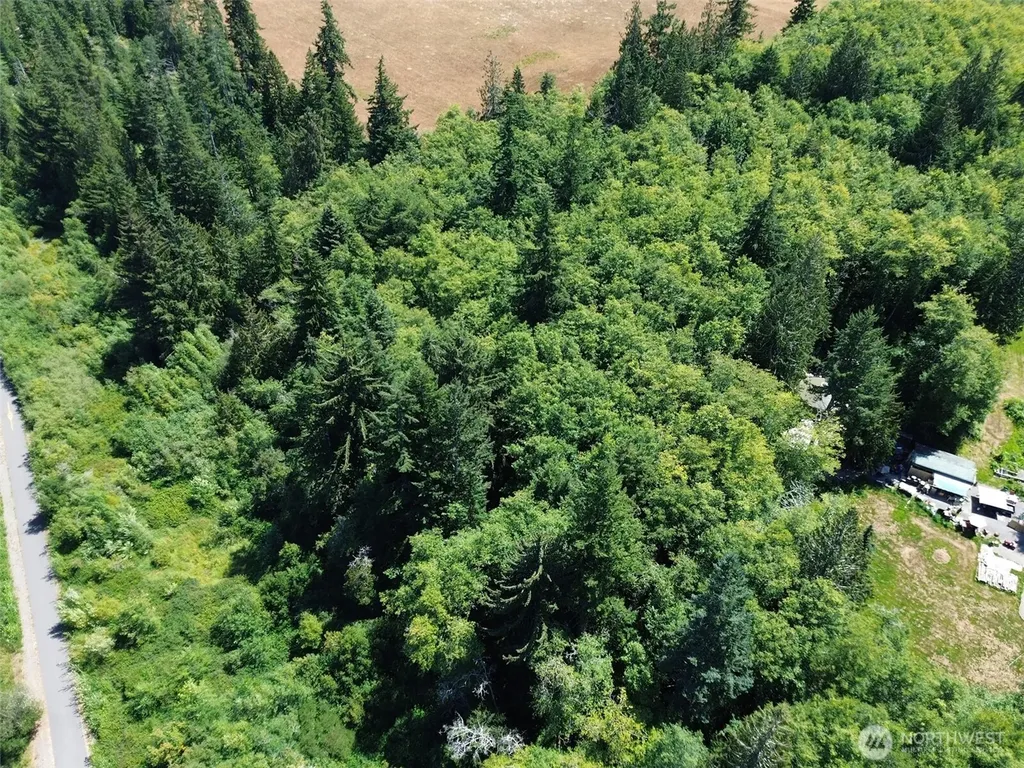 0 Thompson Road Port Angeles WA 98363