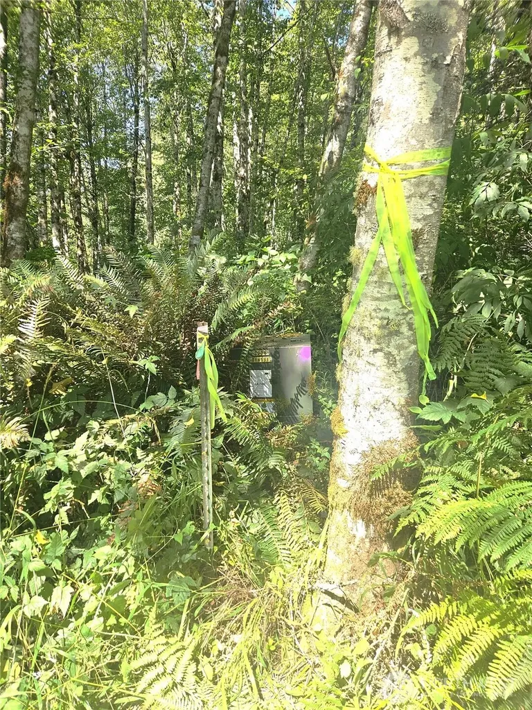 0 Thompson Road Port Angeles WA 98363
