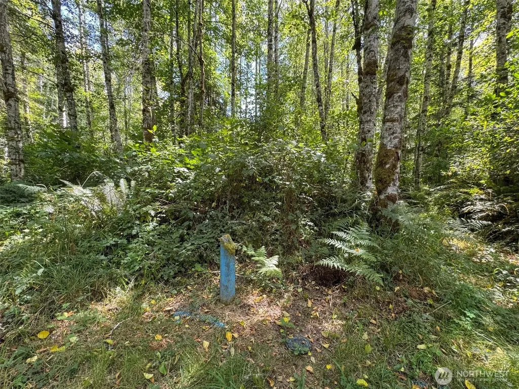 0 Thompson Road Port Angeles WA 98363