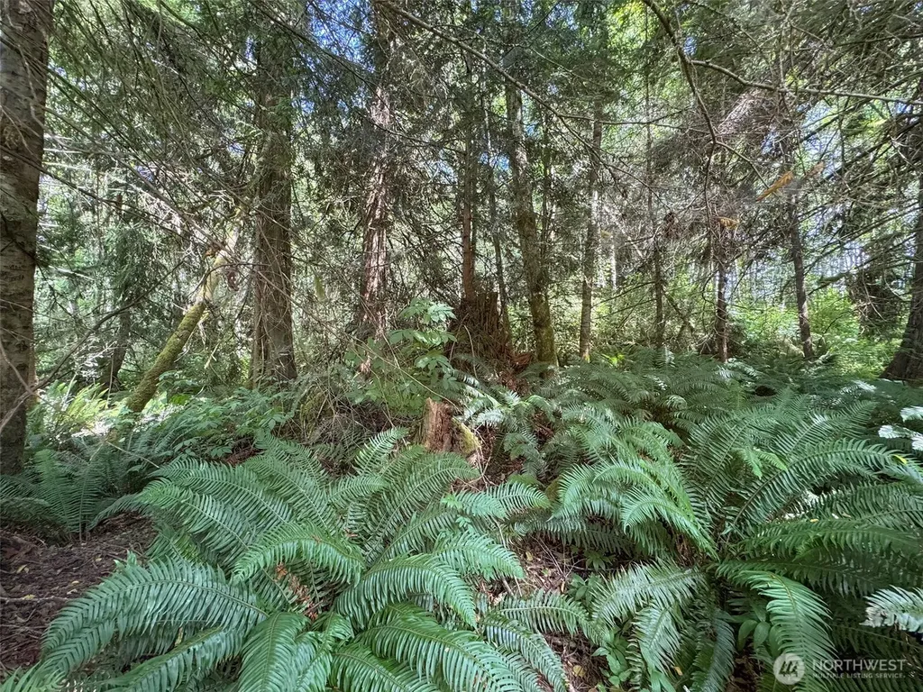0 Thompson Road Port Angeles WA 98363