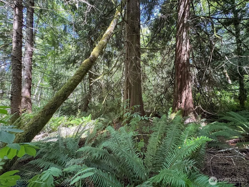 0 Thompson Road Port Angeles WA 98363