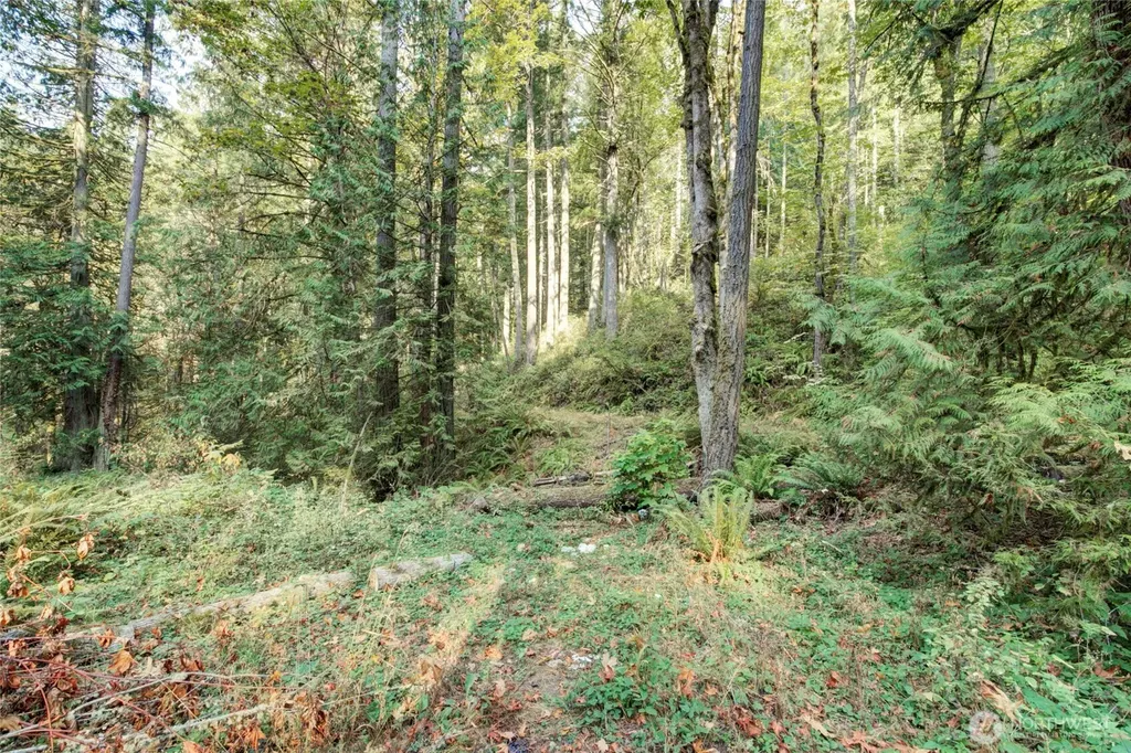 37 SE 212th Way Sammamish WA 98075