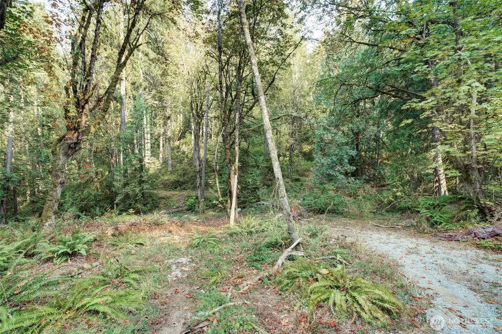 37 SE 212th Way Sammamish WA 98075