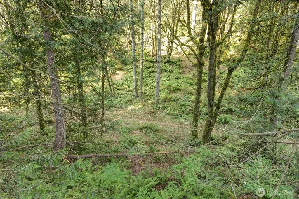 37 SE 212th Way Sammamish WA 98075