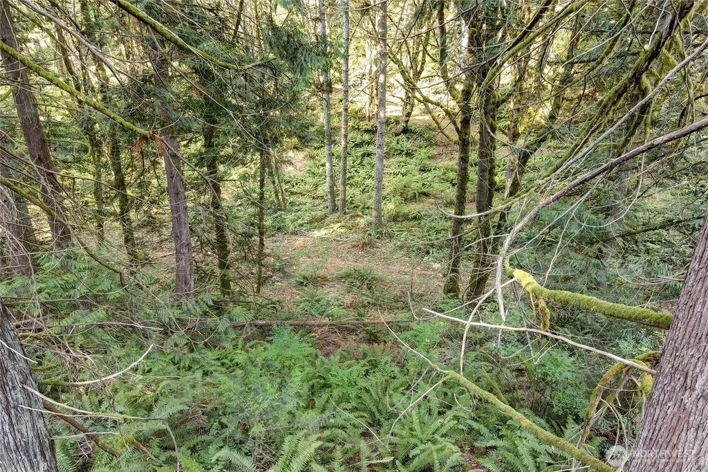 37 SE 212th Way Sammamish WA 98075