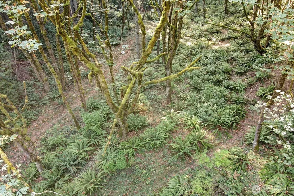 37 SE 212th Way Sammamish WA 98075