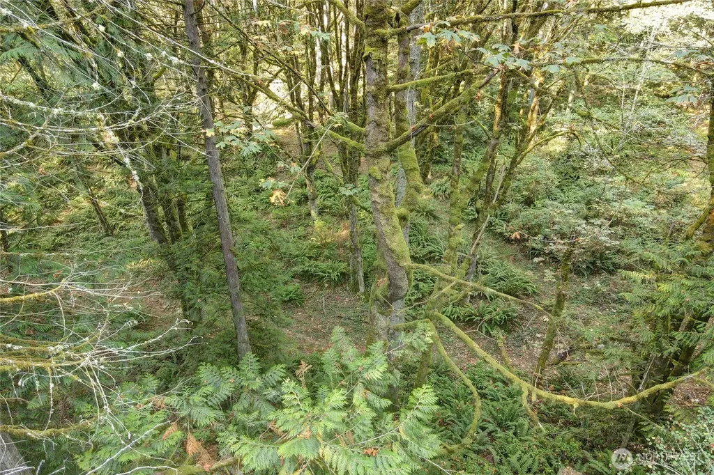 37 SE 212th Way Sammamish WA 98075
